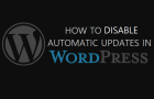 Disable Automatic Updates in WordPress