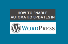 Enable Automatic Updates in WordPress